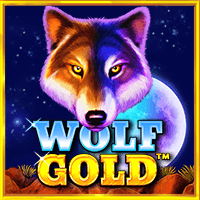 Wolf Gold 